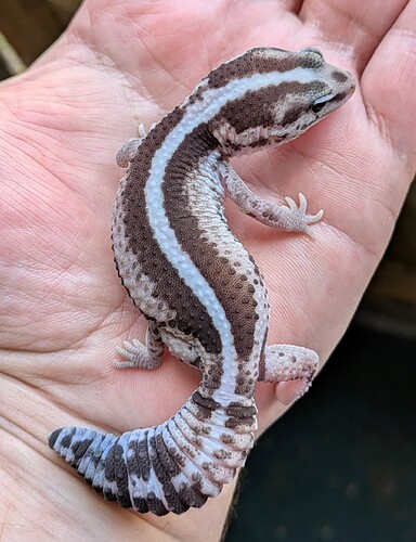 PXL_20250812_140309252~2