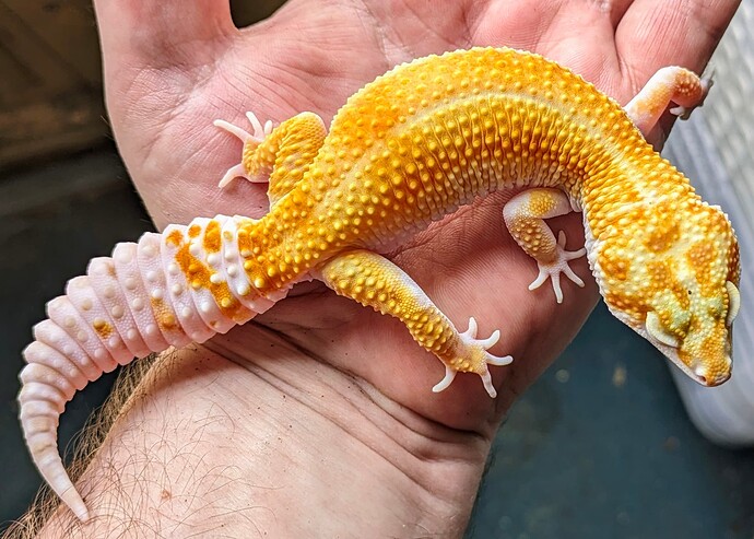 PXL_20240528_154223264.RAW-01.COVER~2